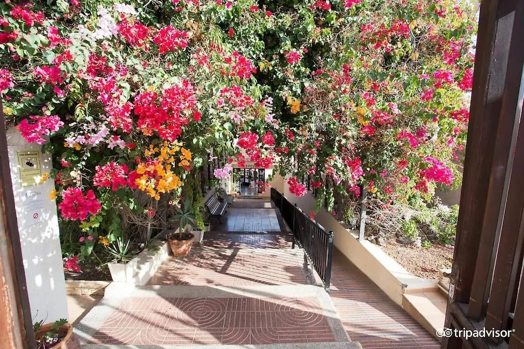 Corralejo Suite Pool & Gardens - Alisios Playa 0*,